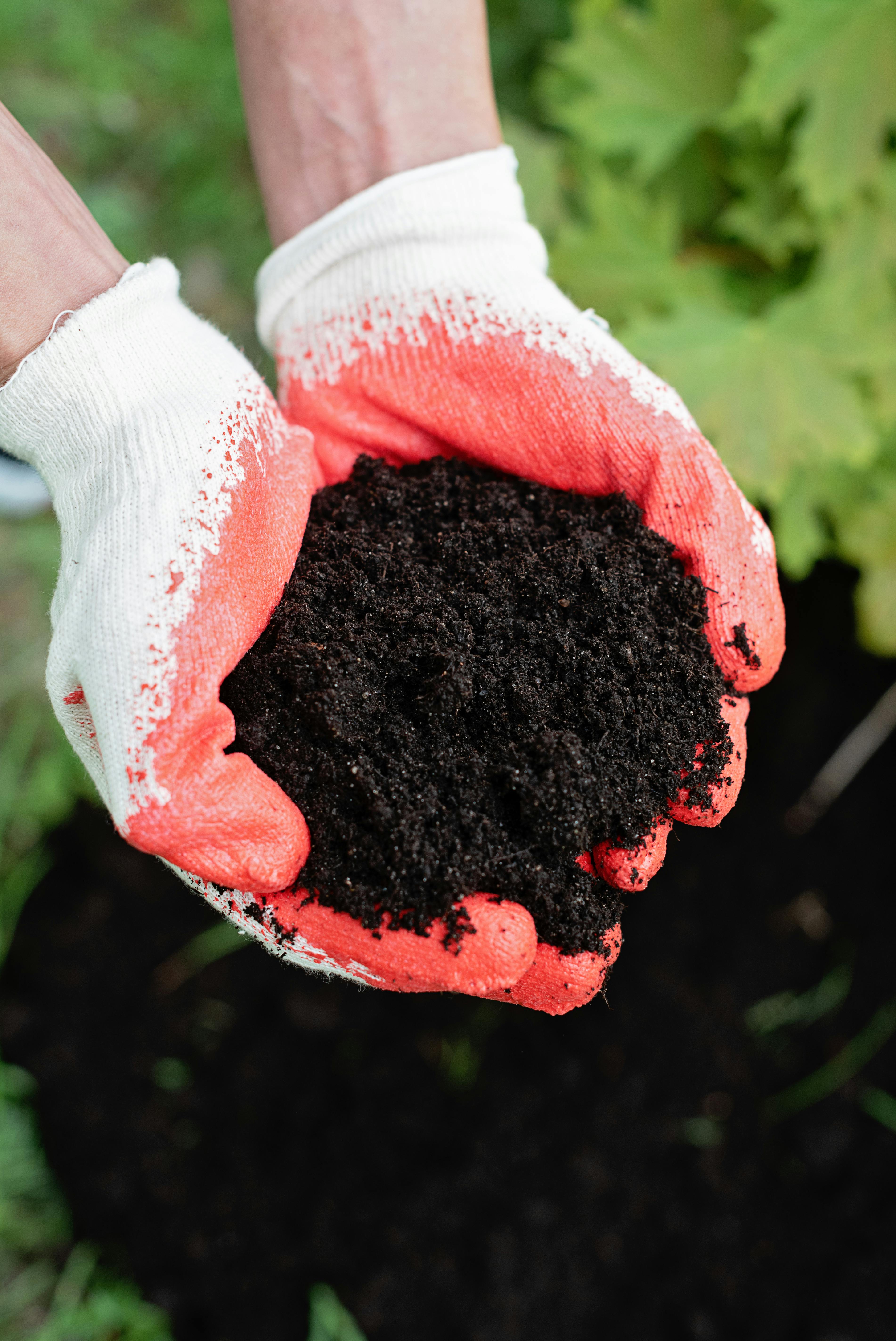 Compost - Vivero Origenes