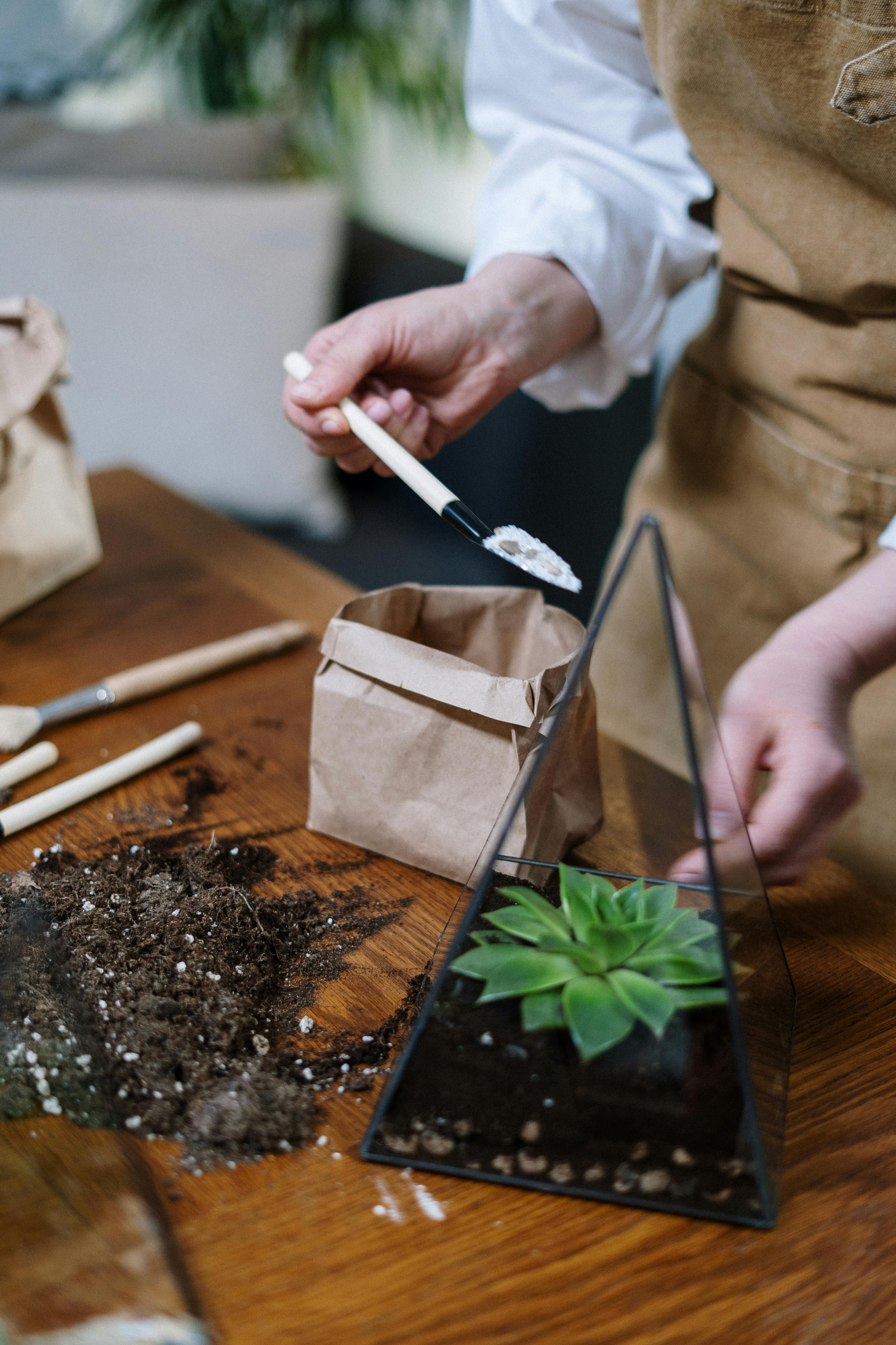 Kits - Vivero Origenes